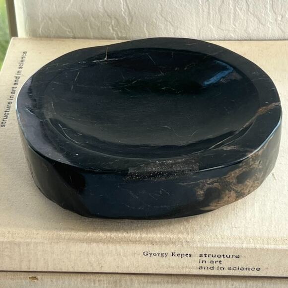 Petrified Wood Bowl/Ashtray From Indonesia Tertiary Period Over A Million Years - Picture 2 of 16